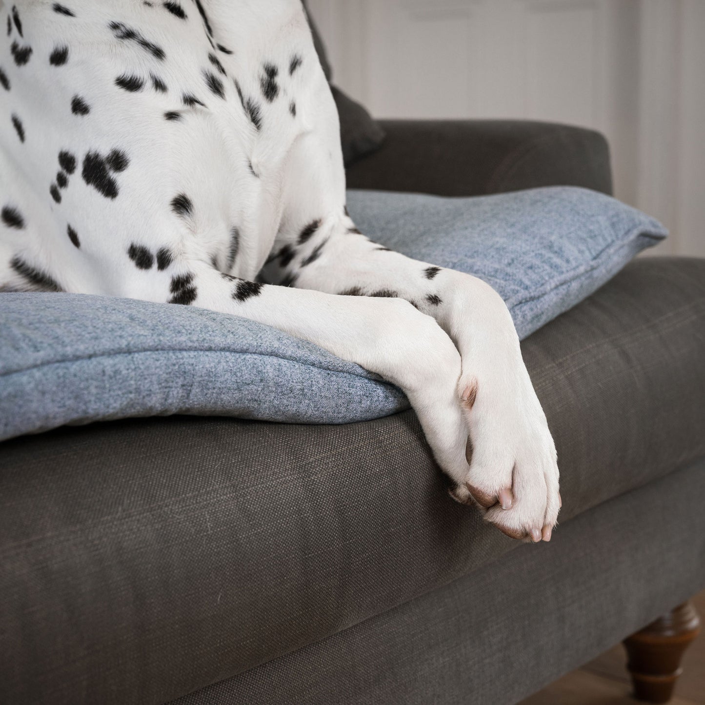 Discover Our Luxury Inchmurrin Sofa Topper, The Perfect Sofa Protector For Pets, In Stunning Grey Iceberg Available Now at Lords & Labradors