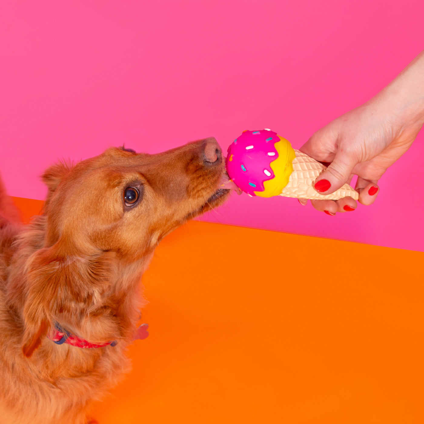 Squeaky Vinyl Ice Cream/Lolly Dog Toy