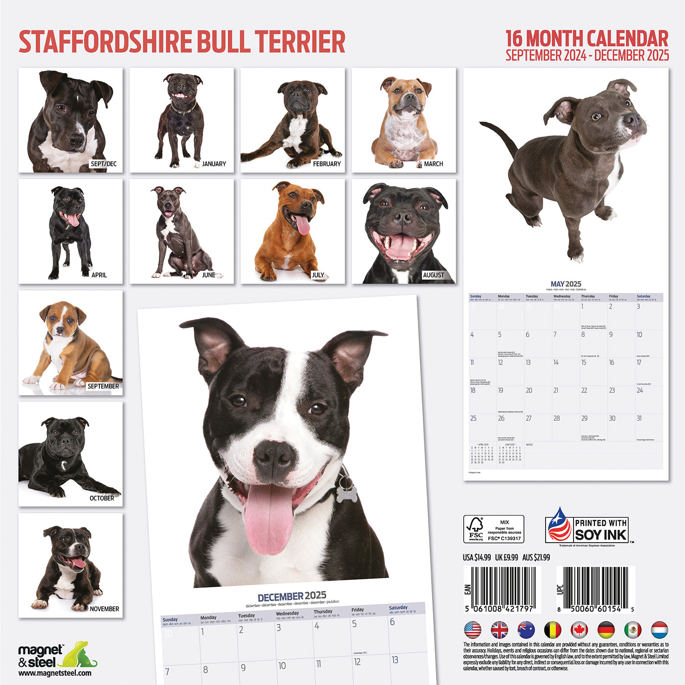 Staffordshire Bull Terrier Modern Calendar 2025