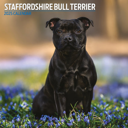 Staffordshire Bull Terrier Traditional Calendar 2025