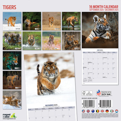 Tigers Calendar 2025