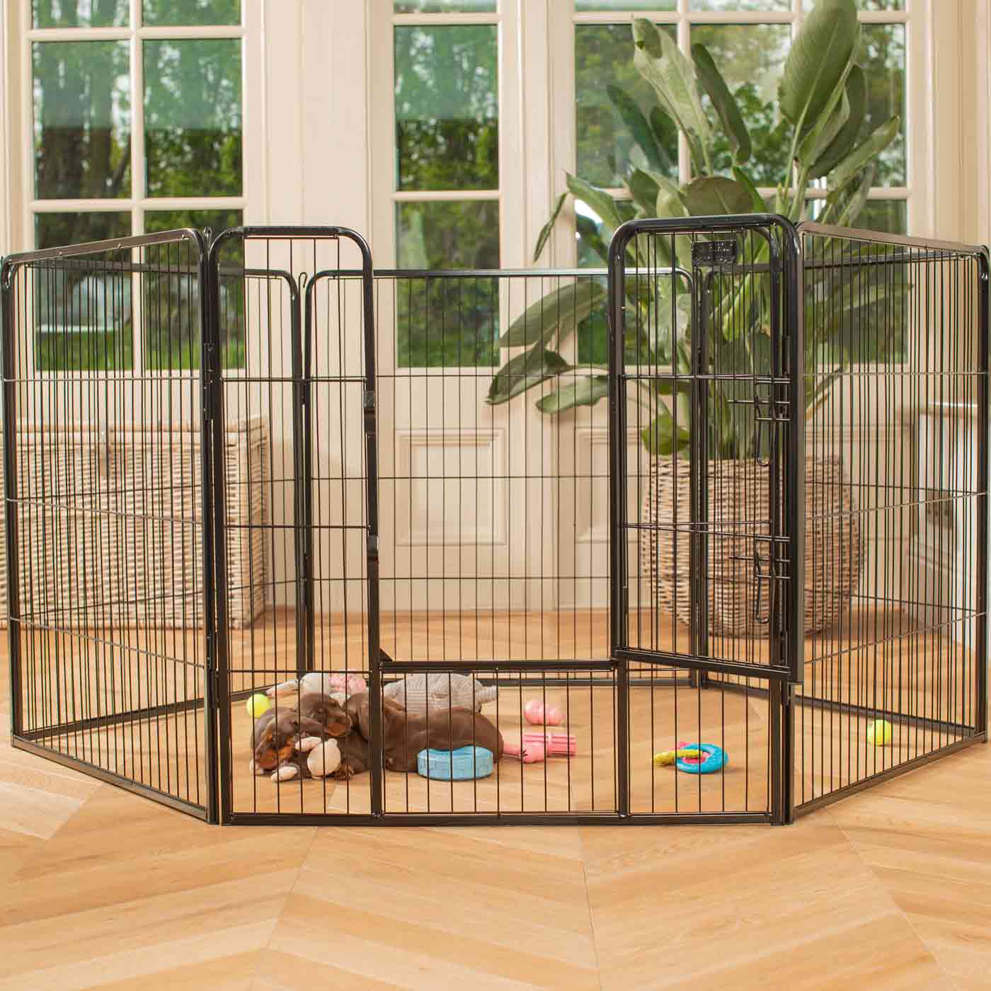 Black hot sale dog pen