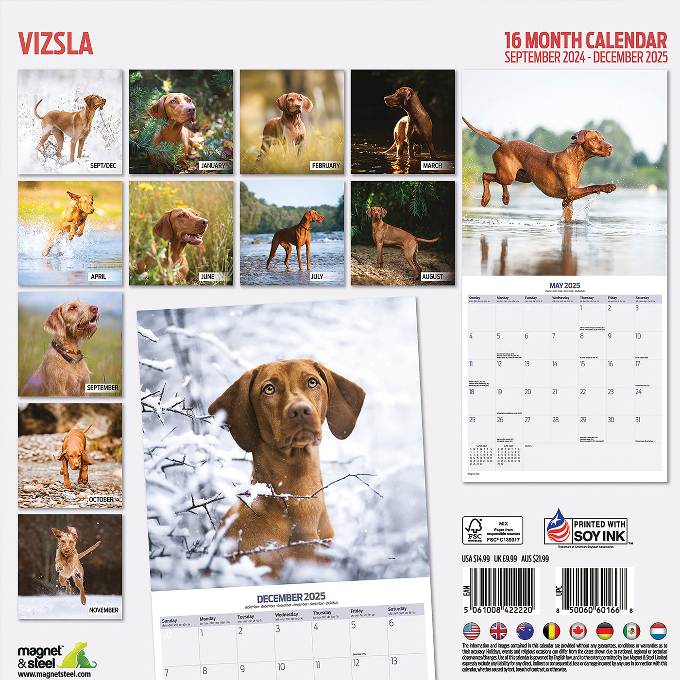 Vizsla Traditional Calendar 2025