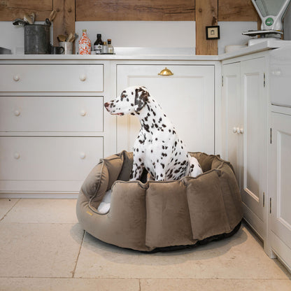 High Wall Bed With Removable Covers in Clay Velvet by Lords & Labradors