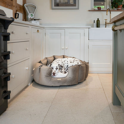 High Wall Bed With Removable Covers in Clay Velvet by Lords & Labradors