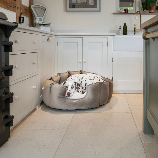 High Wall Bed With Removable Covers in Clay Velvet by Lords & Labradors