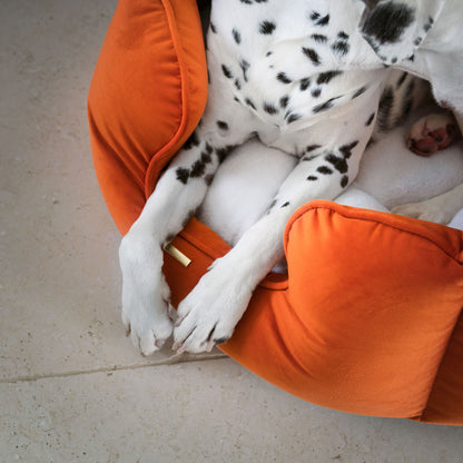 High Wall Bed With Removable Covers in Pumpkin Velvet by Lords & Labradors