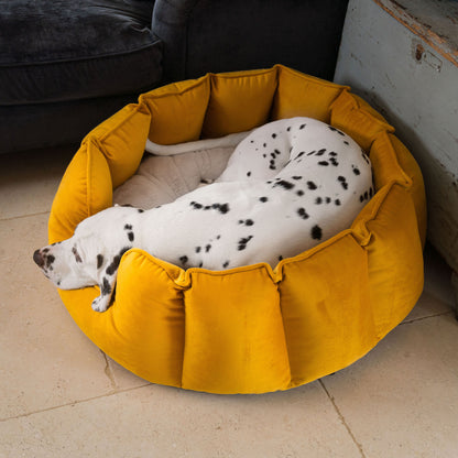 High Wall Bed With Removable Covers in Saffron Velvet by Lords & Labradors