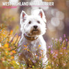 West Highland White Traditional Calendar 2025