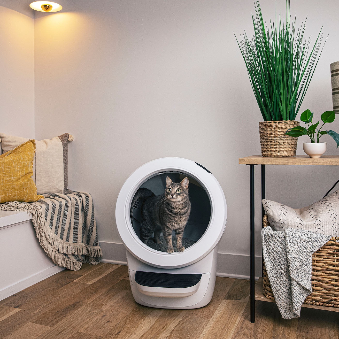 Litter-Robot 4 Smart Self-Cleaning Cat Litter Box With Step