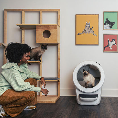 Litter-Robot 4 Smart Self-Cleaning Cat Litter Box With Step