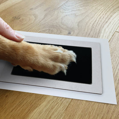 Oh So Precious Paw Print Non-Toxic Ink Pad For Larger Paws