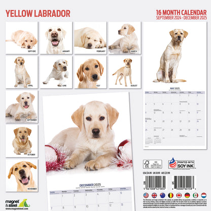 Yellow Labrador Modern Calendar 2025