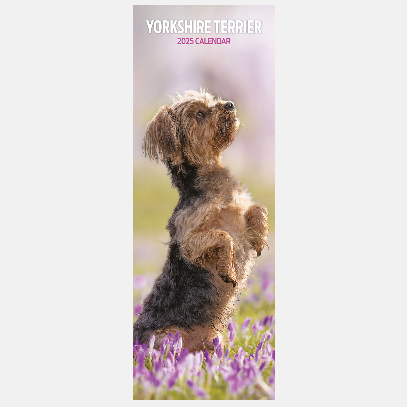 Yorkshire Terrier Slim Calendar 2025