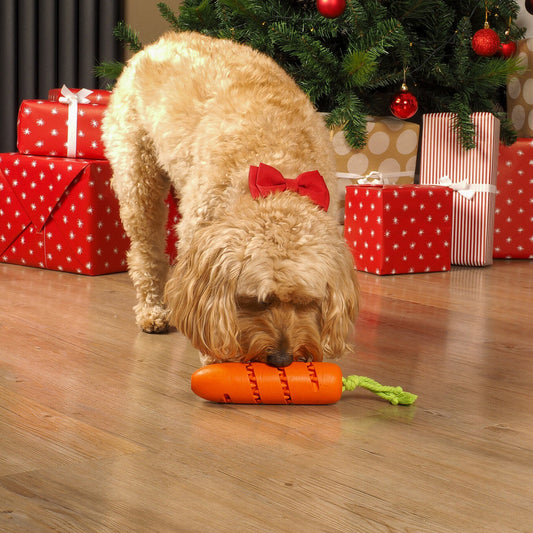 Zoon Carrot Treat Dispenser Christmas Toy