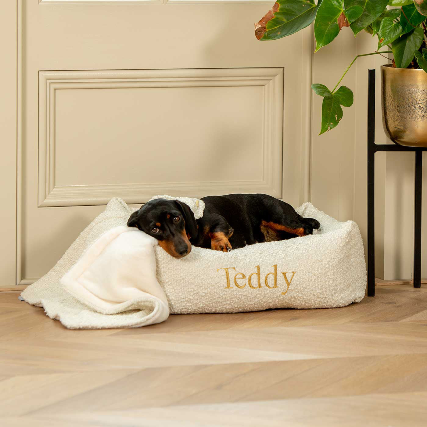 Luxury Dog Bed outlets - Small Ivory