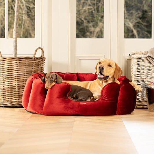 Valentines Edition High Wall Bed For Dogs by Lords & Labradors