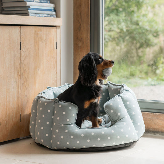 Personalised High Wall Bed For Dogs in Duck Egg Spot by Lords & Labradors