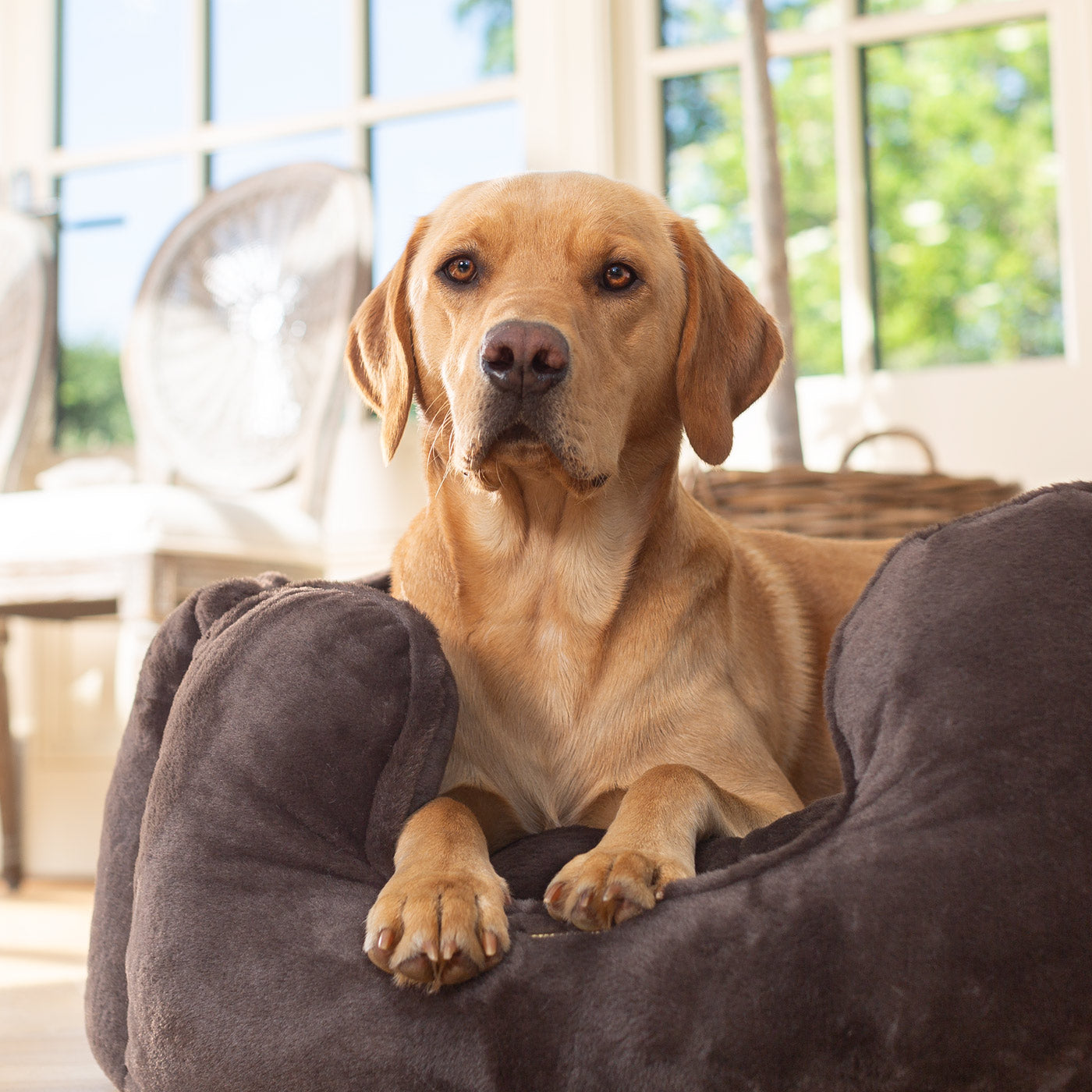 High Wall Bed For Dogs in Calming Anti-Anxiety Dusk Faux Fur by Lords & Labradors