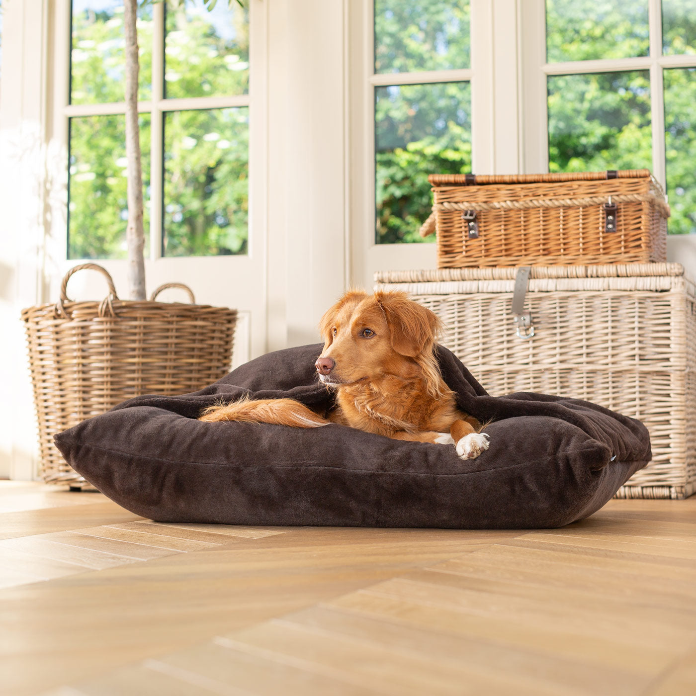 Sleepy Burrows Bed in Dusk Faux Fur | Luxury Dog Beds | Lords & Labradors