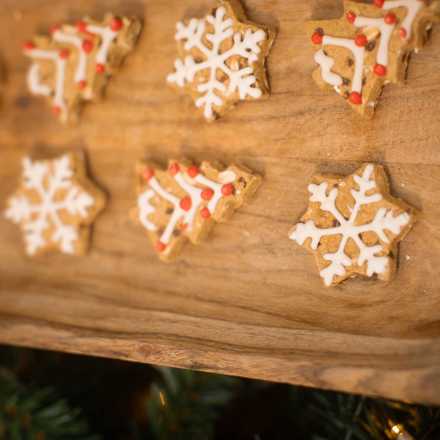 Rosewood Cupid & Comet Festive Meaty Cookies