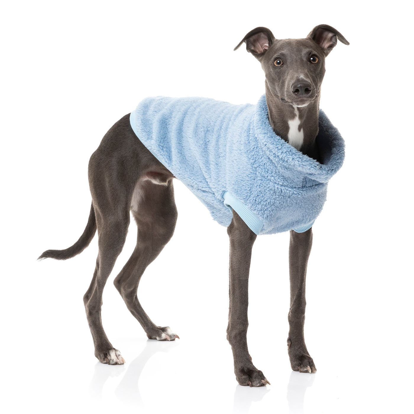 [colour:kp blue] Discover FuzzYard Turtle Teddy Sweater, available in five colours and six sizes. Now available at Lords and Labradors