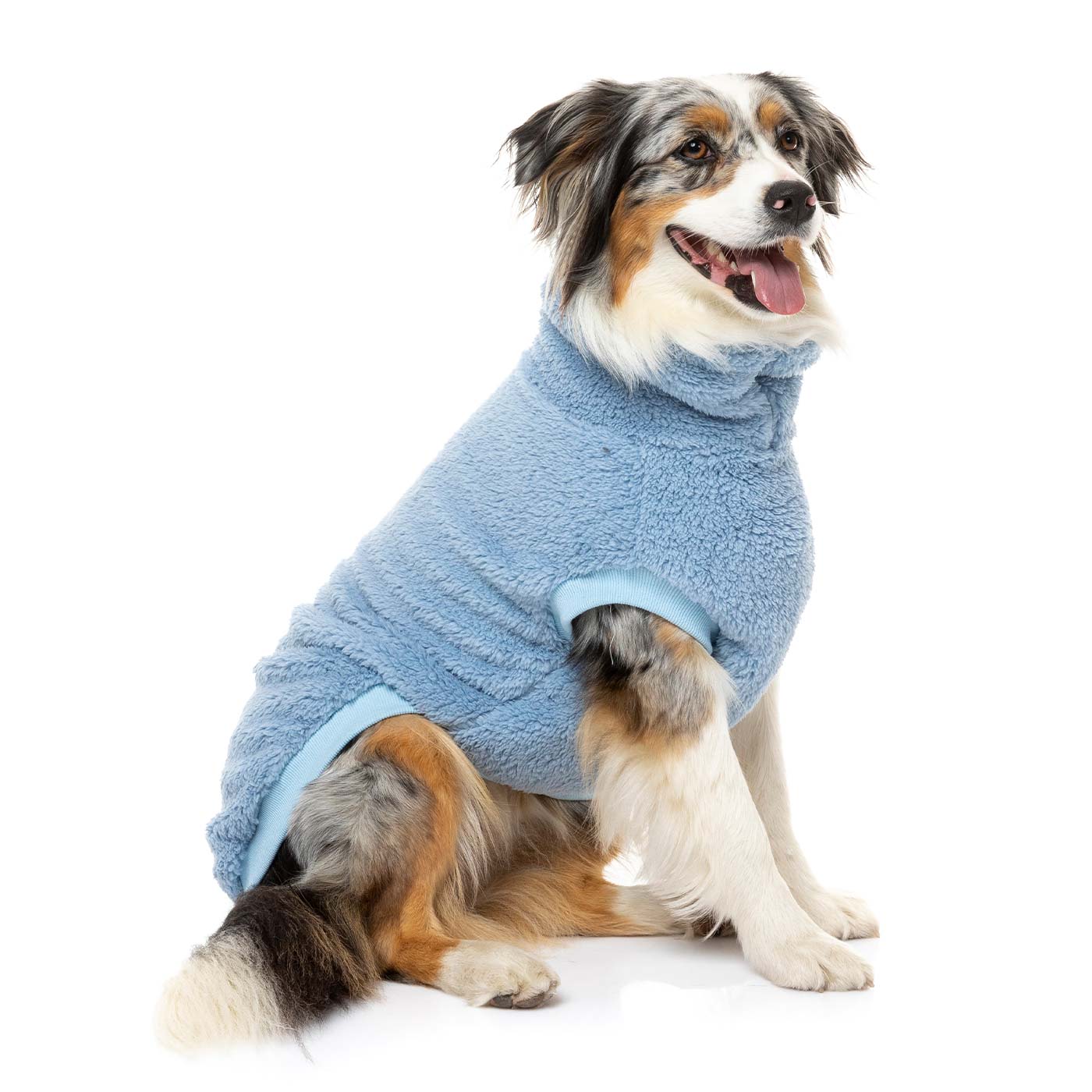 [colour:kp blue]  Discover FuzzYard Turtle Teddy Sweater, available in five colours and six sizes. Now available at Lords and Labradors