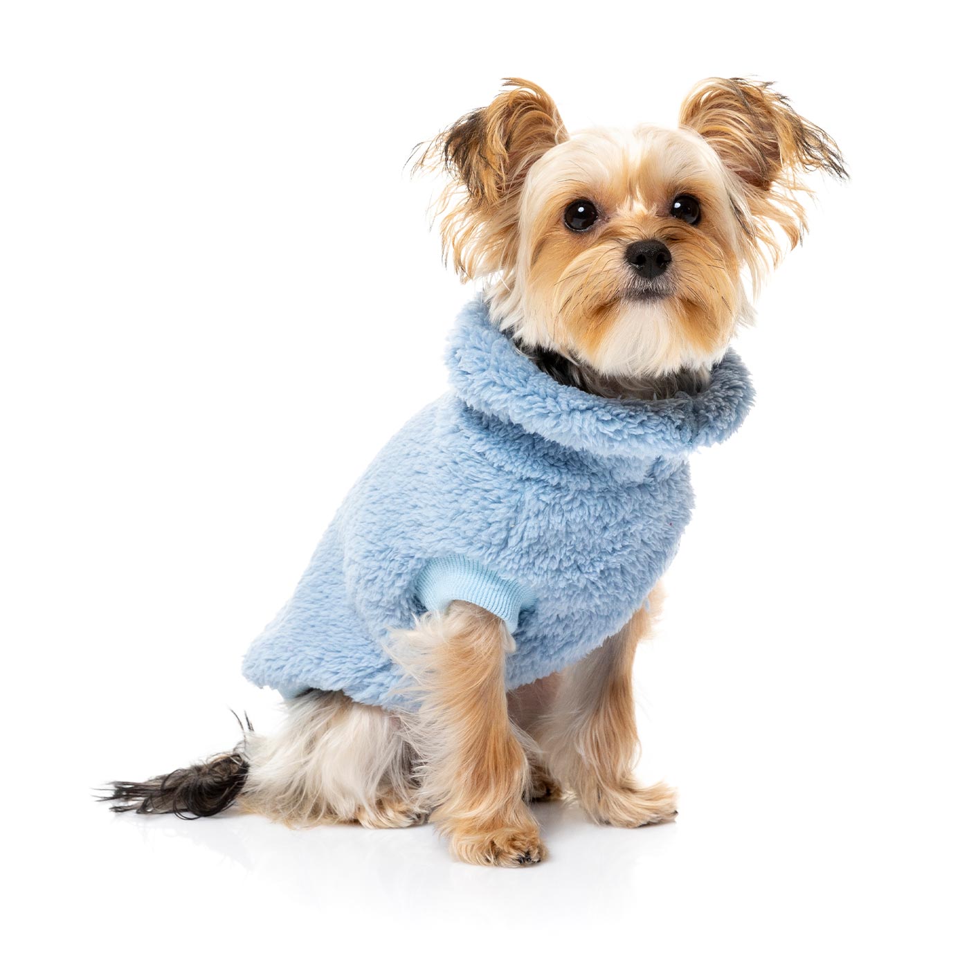 [colour:kp blue]  Discover FuzzYard Turtle Teddy Sweater, available in five colours and six sizes. Now available at Lords and Labradors