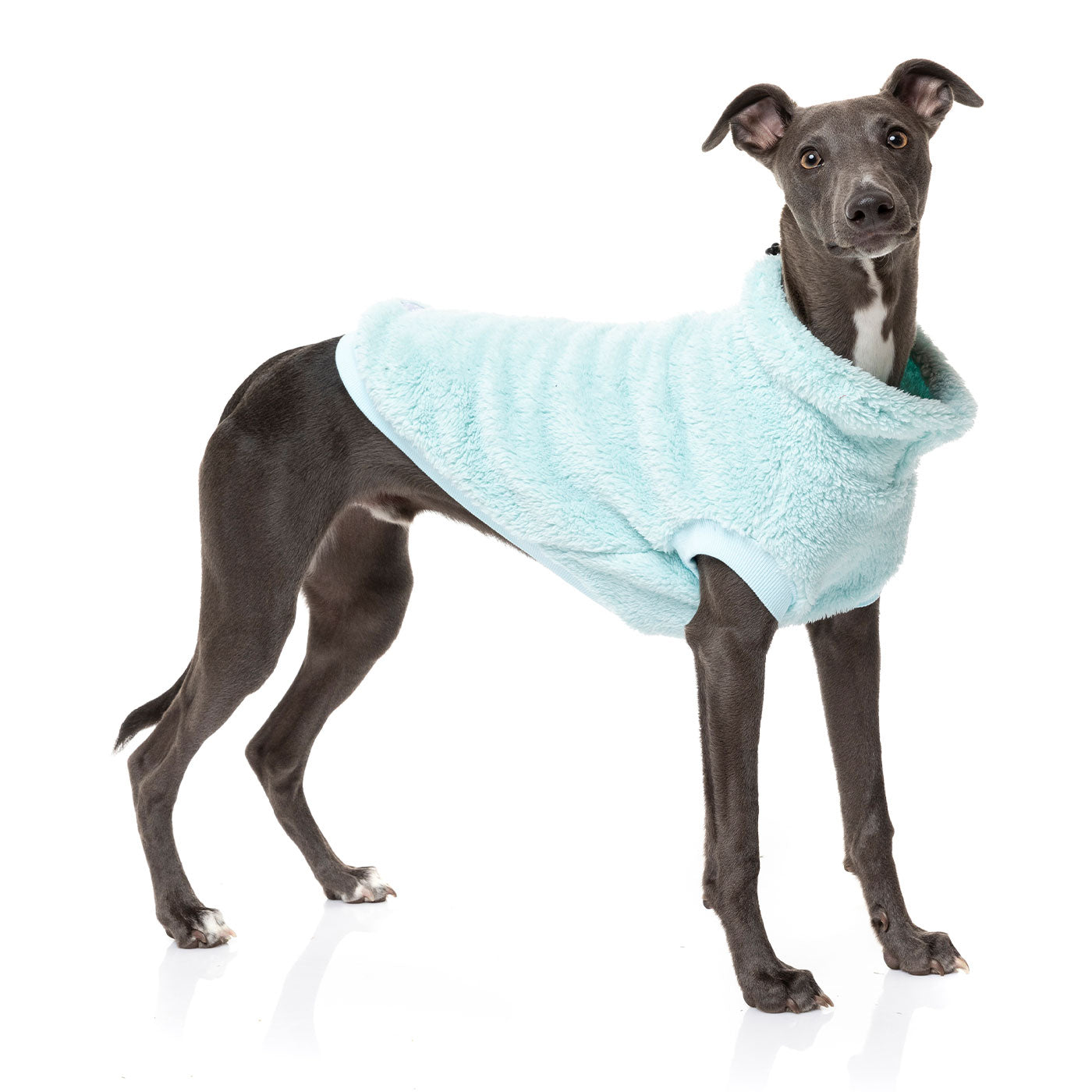 [colour:mint]  Discover FuzzYard Turtle Teddy Sweater, available in five colours and six sizes. Now available at Lords and Labradors