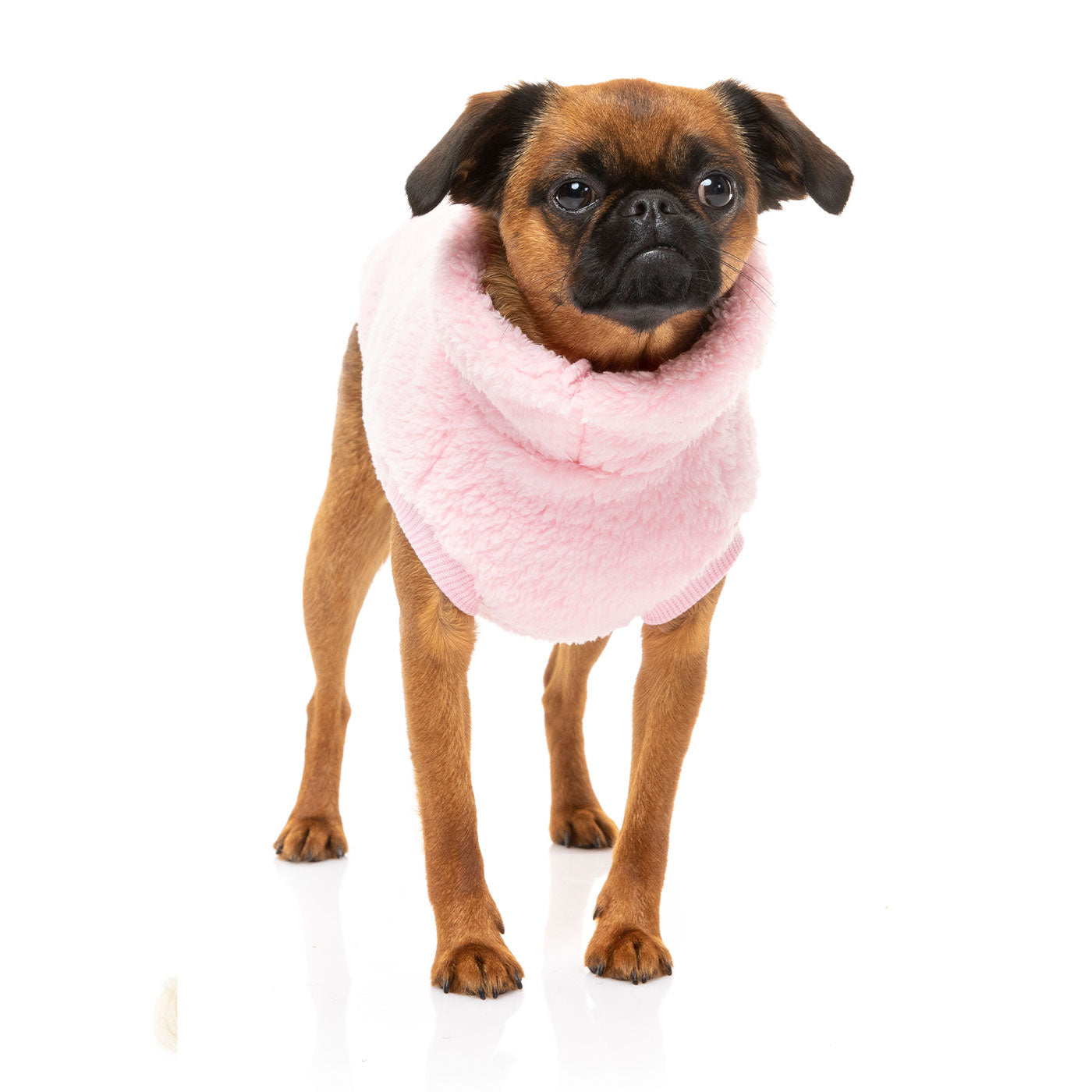 [colour:kp pink]  Discover FuzzYard Turtle Teddy Sweater, available in five colours and six sizes. Now available at Lords and Labradors