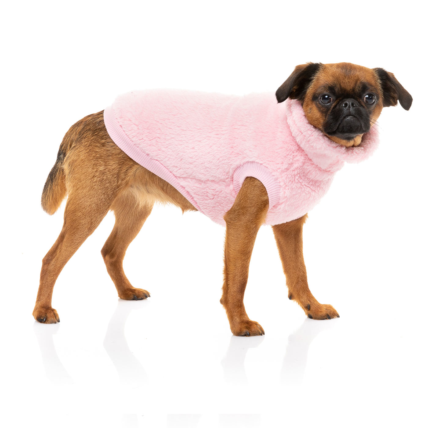 [colour:kp pink]  Discover FuzzYard Turtle Teddy Sweater, available in five colours and six sizes. Now available at Lords and Labradors