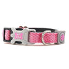 Hugo & Hudson Pink Mesh Collar