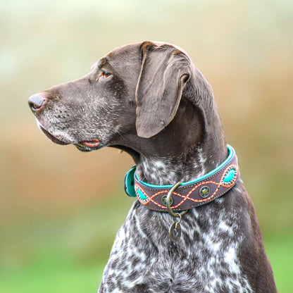 Joplin Dog Collar by DWAM