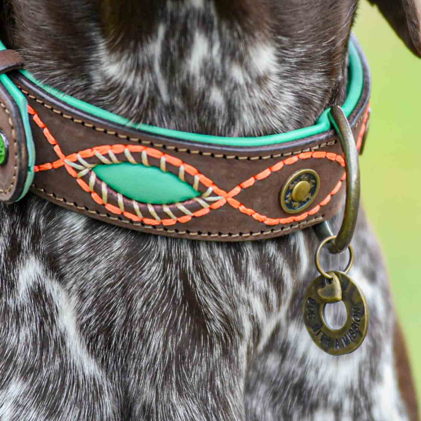 Joplin Dog Collar by DWAM