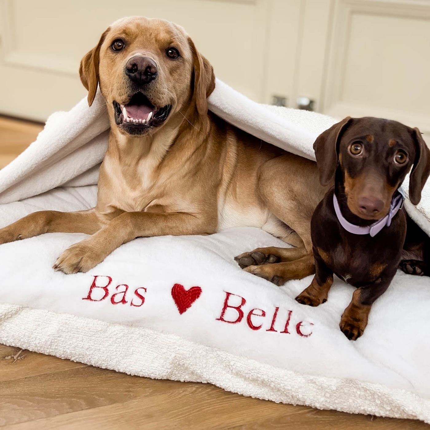 Dog bed for dogs that like to clearance burrow