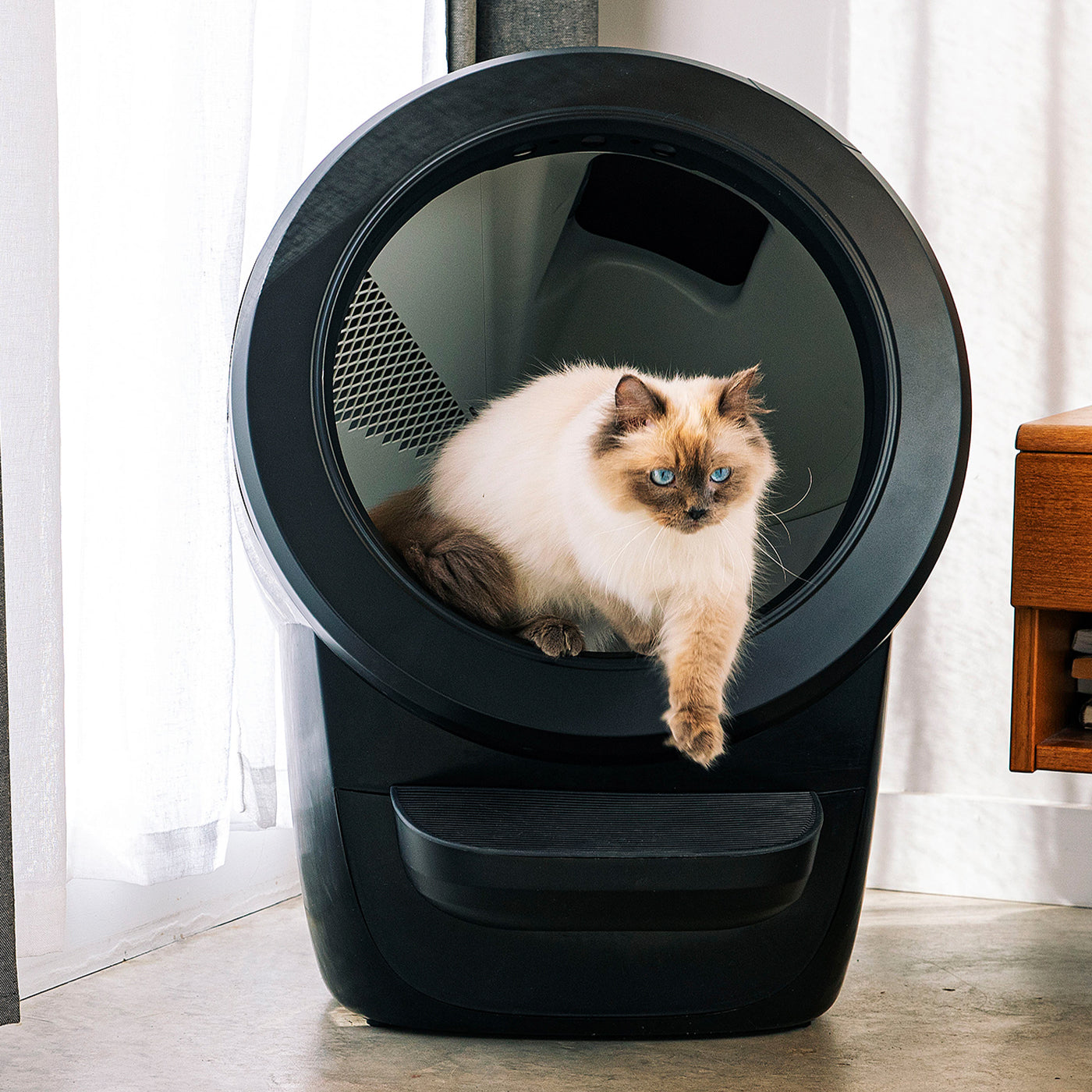 Litter-Robot 4 Smart Self-Cleaning Cat Litter Box With Step