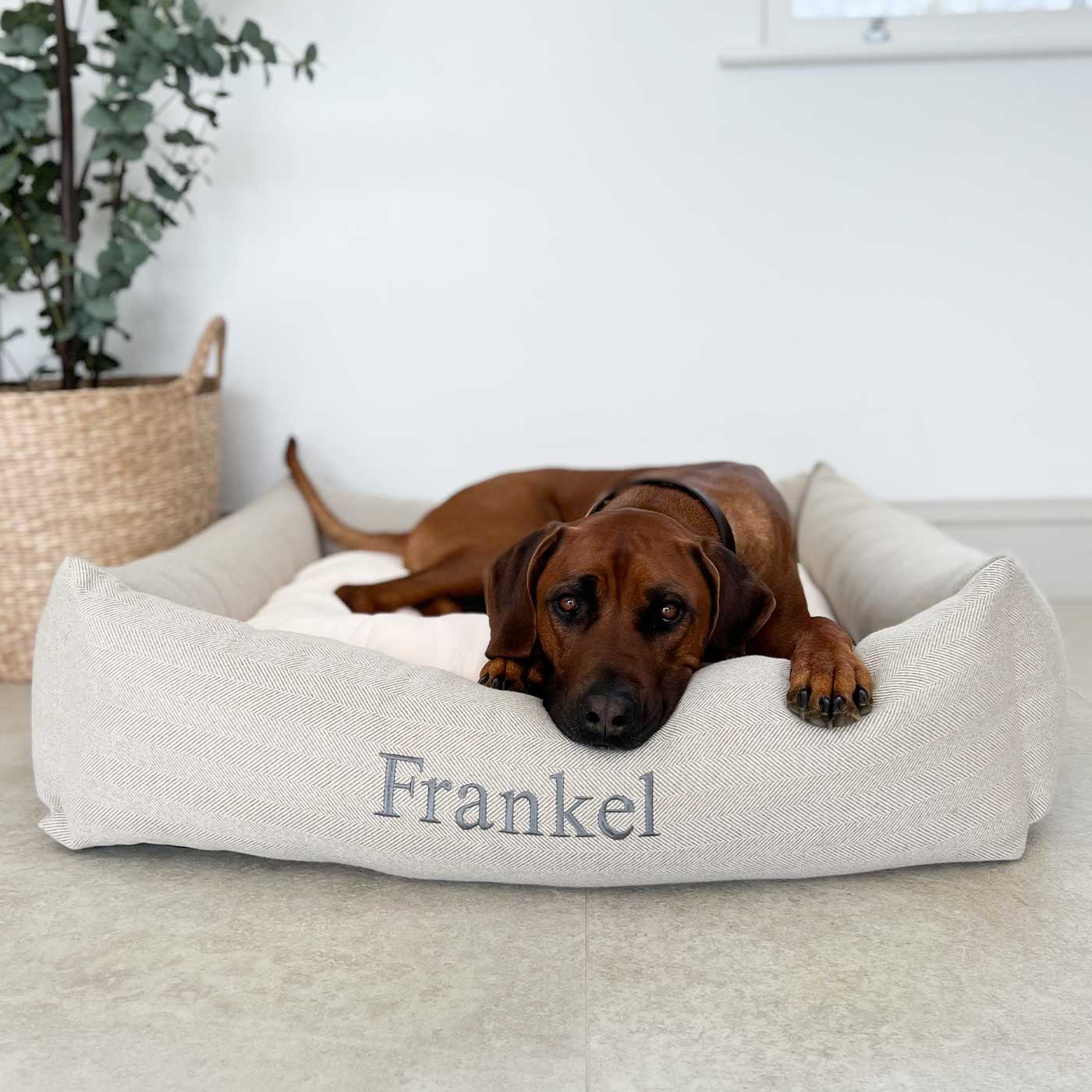 Box Bed With Removable Covers in Herringbone Tweed by Lords & Labradors