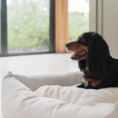 Box Bed With Removable Covers in Regency Stripe  by Lords & Labradors