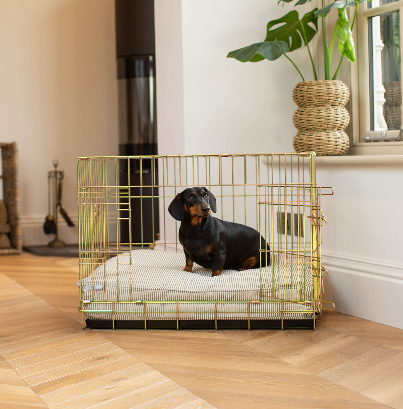 Puppy Crate Cushions