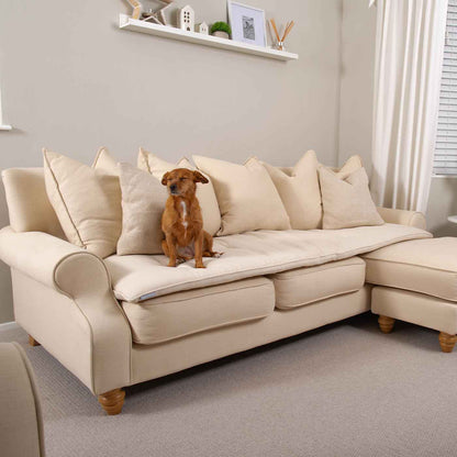 Discover Our Luxury Savanna Sofa Topper, The Perfect Pet sofa Accessory In Stunning Savanna Bone! Available Now at Lords & Labradors