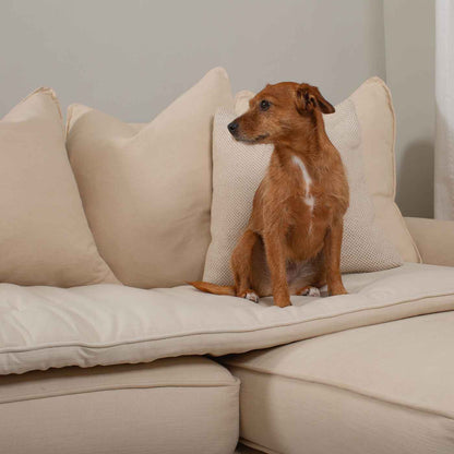 Discover Our Luxury Savanna Sofa Topper, The Perfect Pet sofa Accessory In Stunning Savanna Bone! Available Now at Lords & Labradors