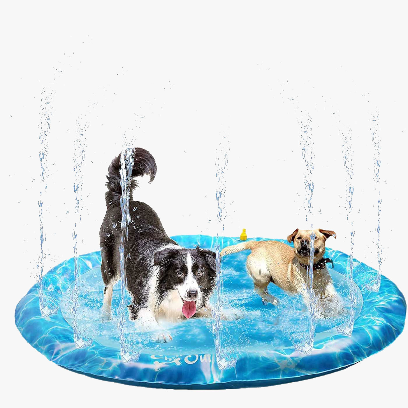 All for Paws Chill Out Sprinkler Fun Mat