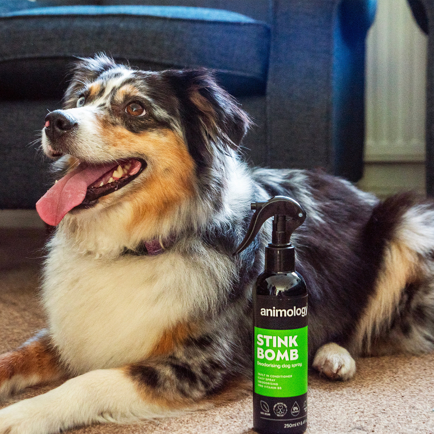 Dog refreshing clearance spray