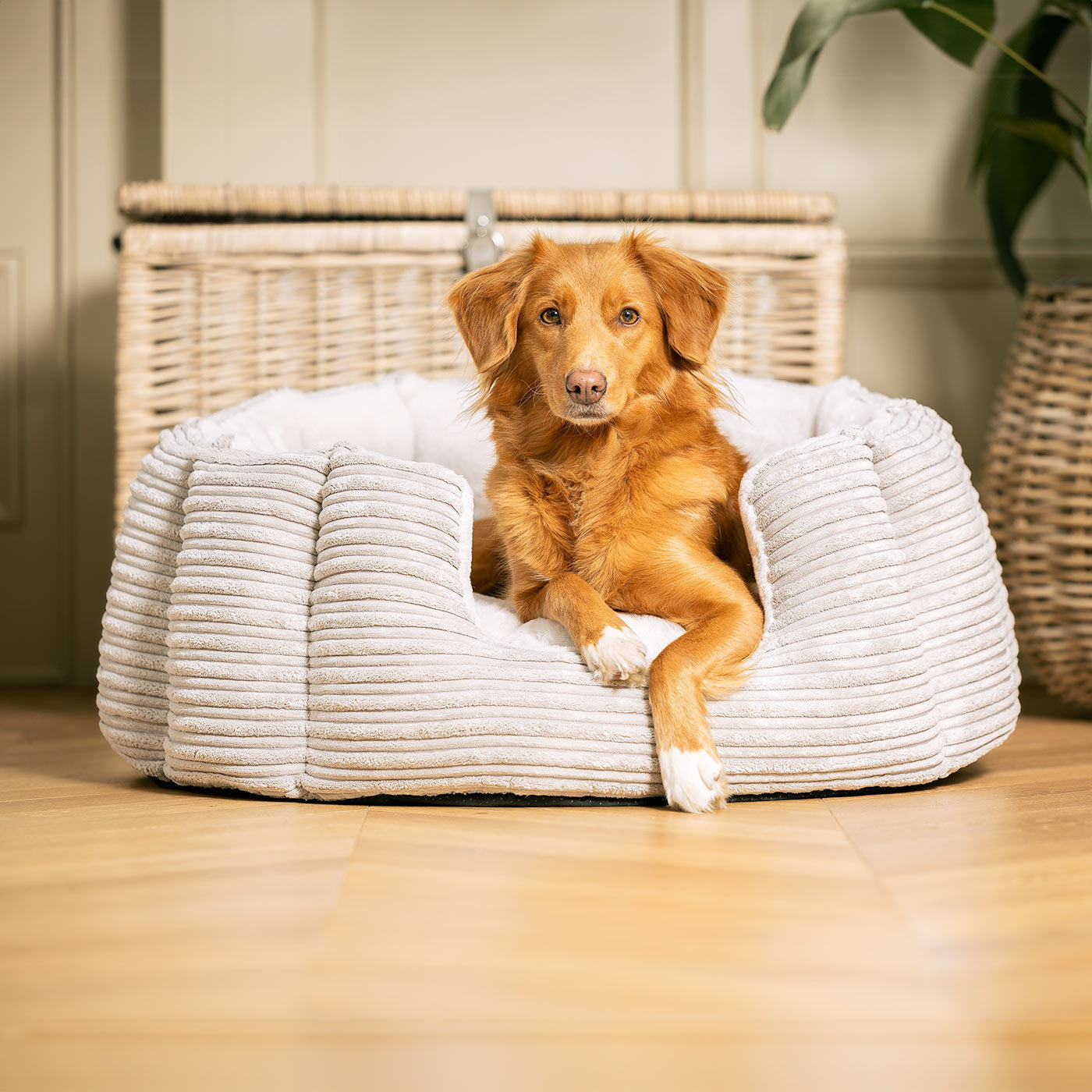 Round dog bed store with high sides