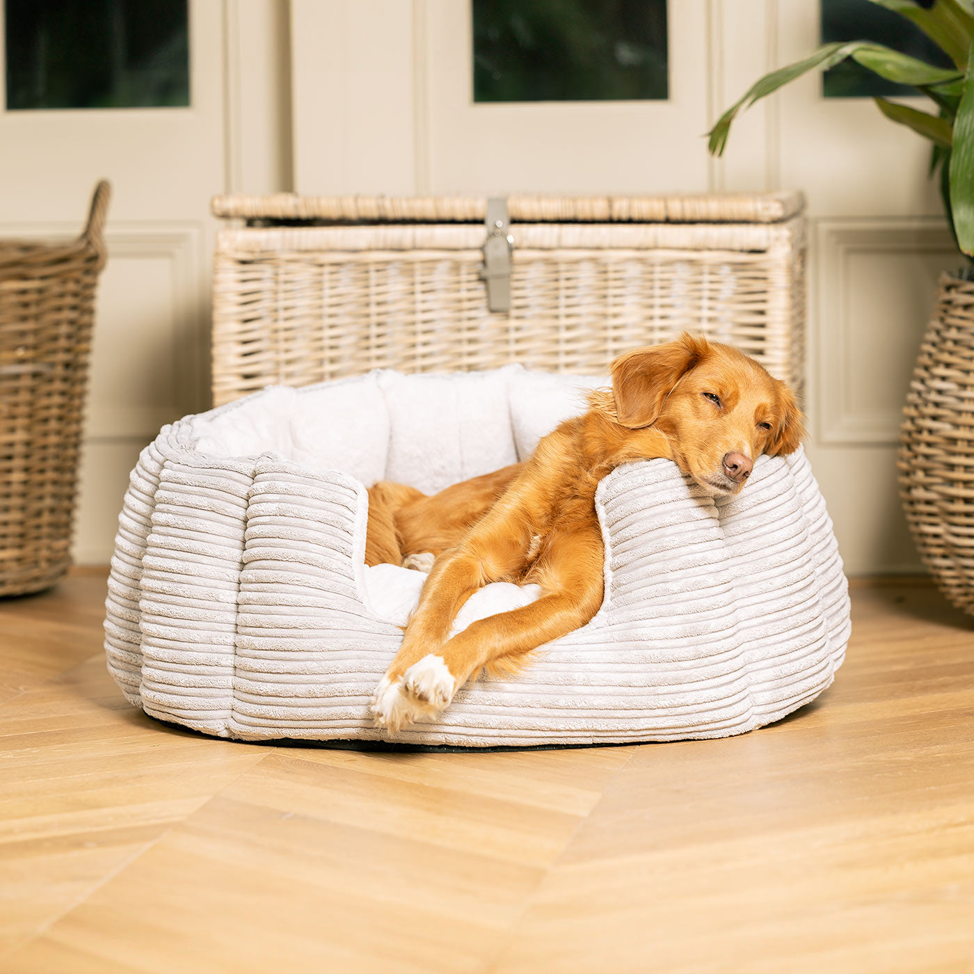 Plush Collection High Wall For Dogs | Luxury Dog Bed | Lords & Labradors