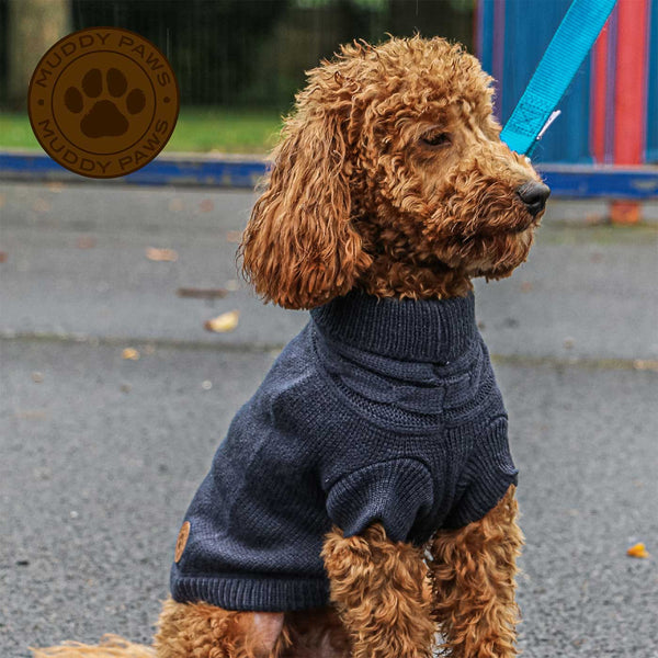 Dog hot sale wooly jumpers