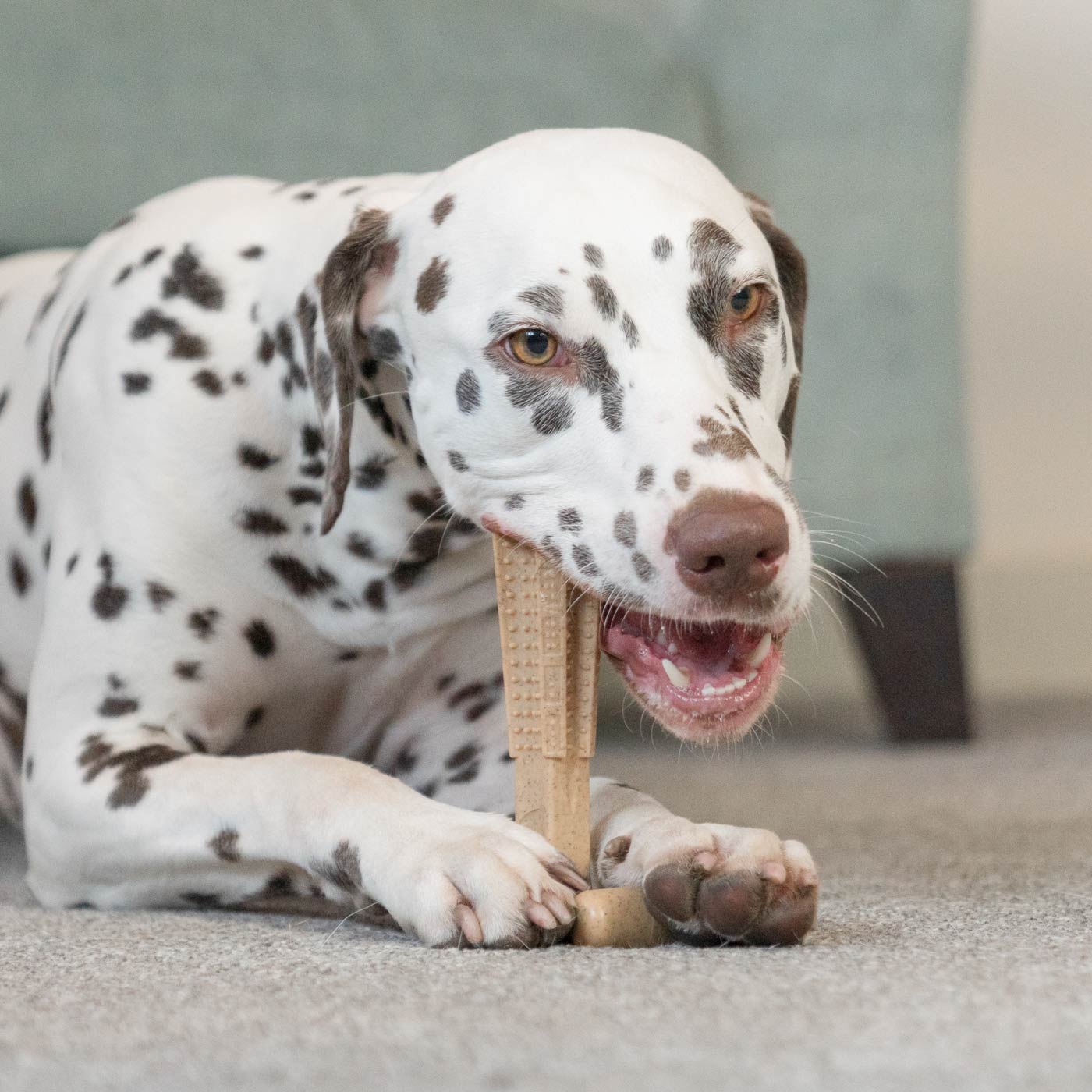 Bamboodles T-Bone Chew - Chicken Flavour