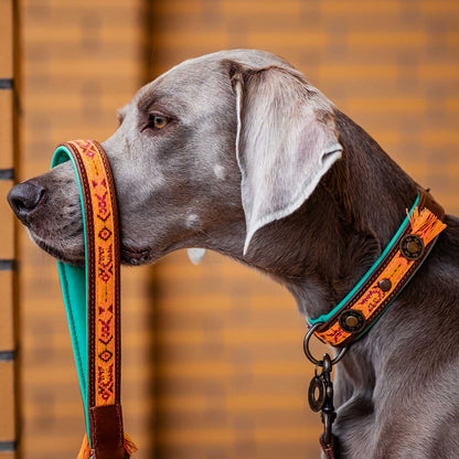 Boho Chica Dog Collar by DWAM