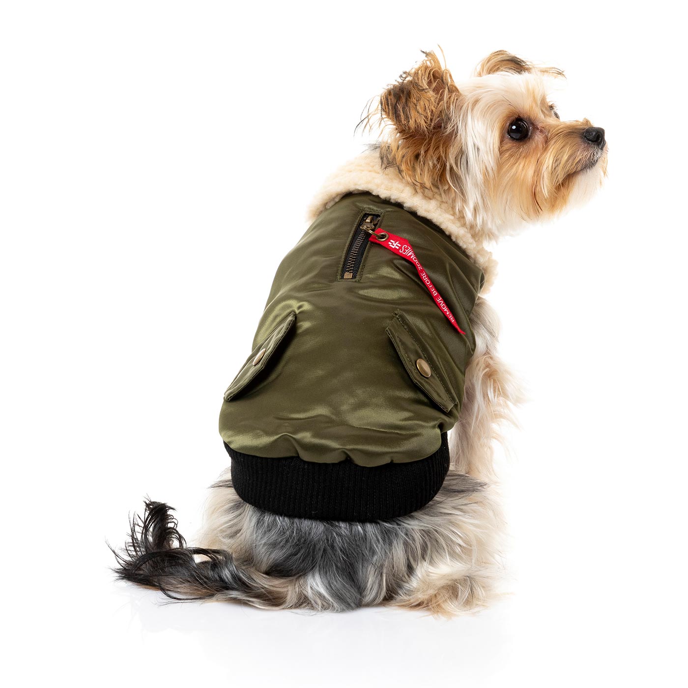 Lightweight Dog Coats