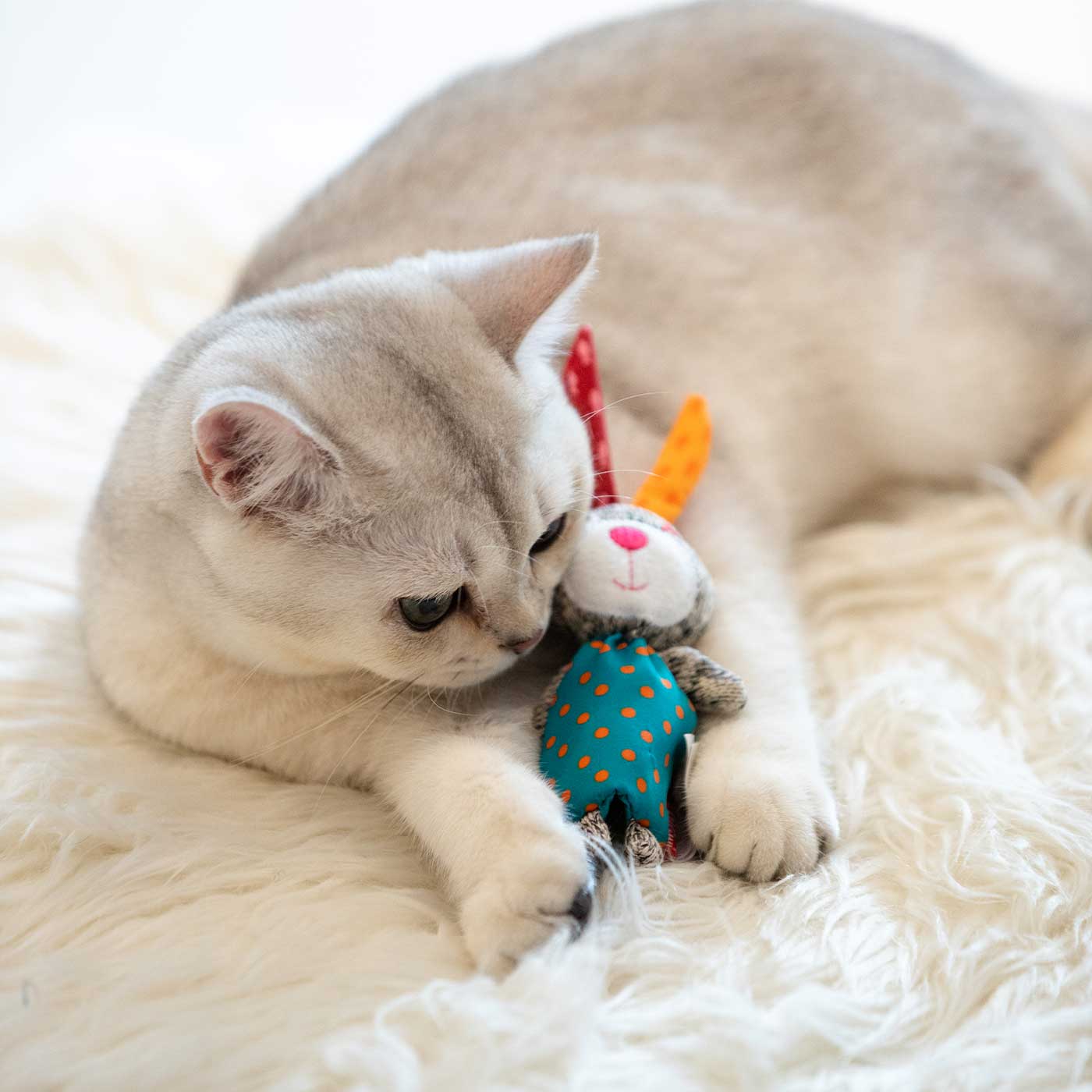 Cat Toys – Lords & Labradors